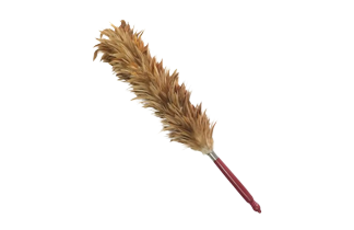 Duster and Brushes